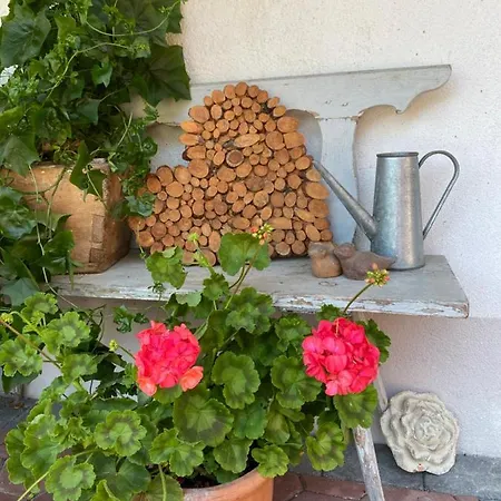 Felsenheimerhof شقة ناسيريث